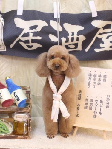 20240629マロンちゃん